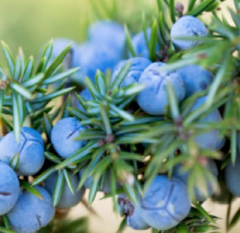 Screen Shot 2015-10-28 at 5.37.57 PM