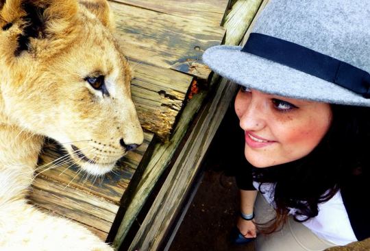 Lion's Park, Johannesburg, South Africa