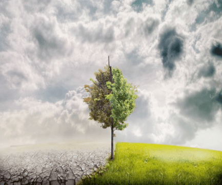 Screen Shot 2015-11-20 at 5.49.35 PM